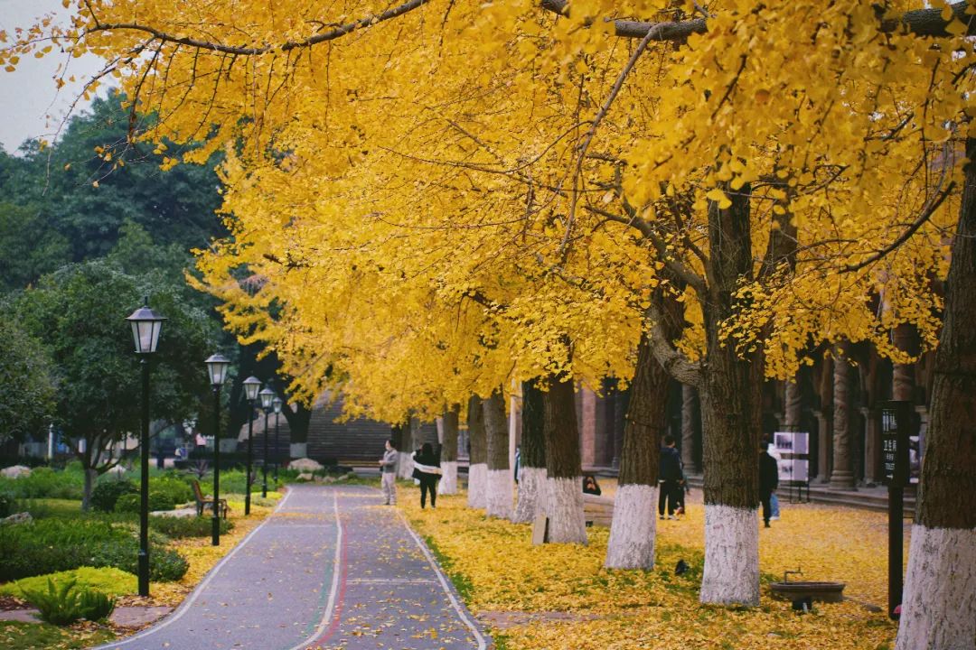 德阳最值得去的九大人文旅游景点,四川德阳旅游攻略必去景点
