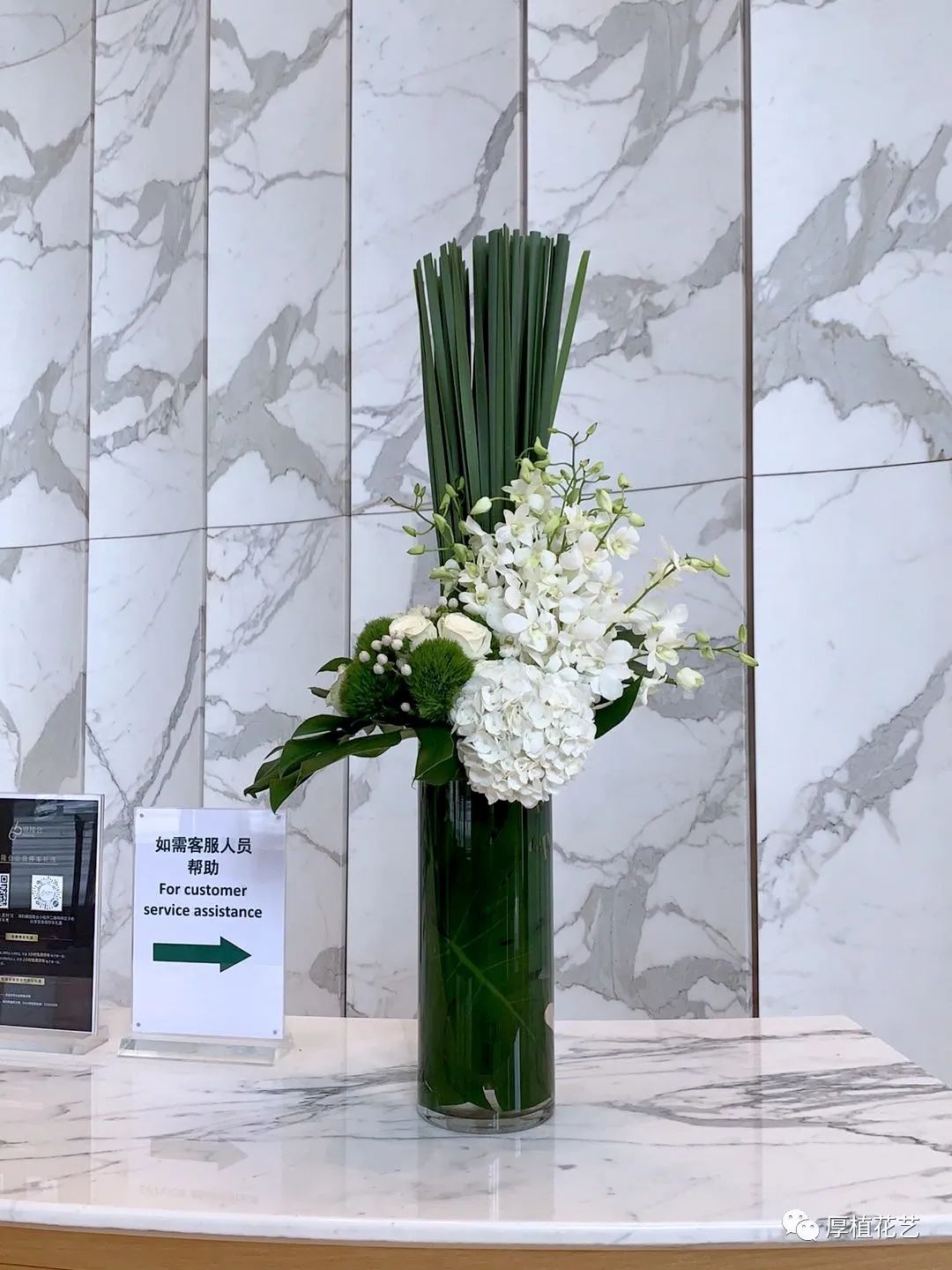 商务前台鲜花,前台花选择