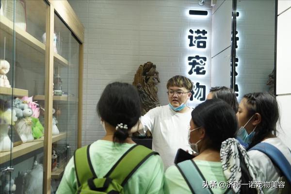 怎样成为宠物美容师的条件与要求,宠物美容师如何成为美容培训讲师