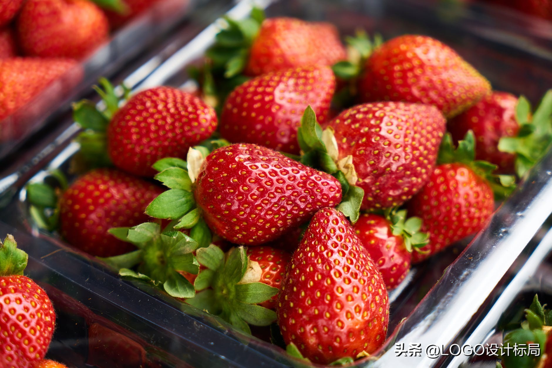 乡村振兴｜农产品Keelings家族基林斯草莓品牌案例