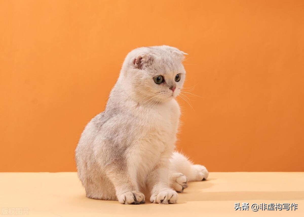 小学生作文写作指导以题带文系列1-编故事