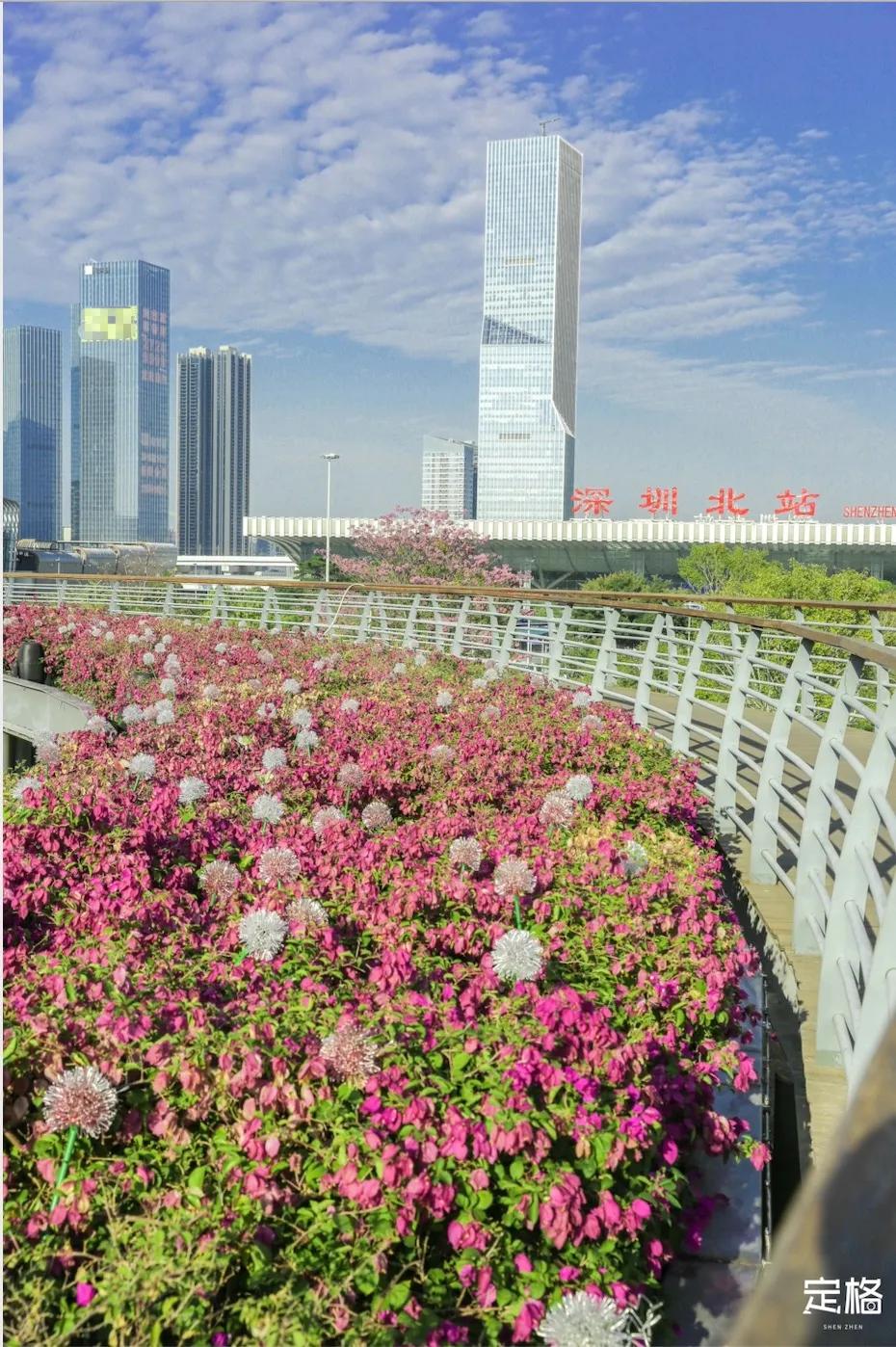 深圳免费好玩的滑梯推荐,深圳摩天滑梯