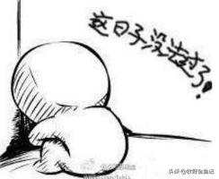 养金鱼冬天需要加热棒吗,家养金鱼冬天需要加热棒吗