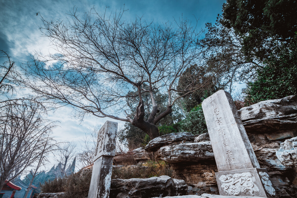 明朝最穷的朝代,明朝衰落的起因