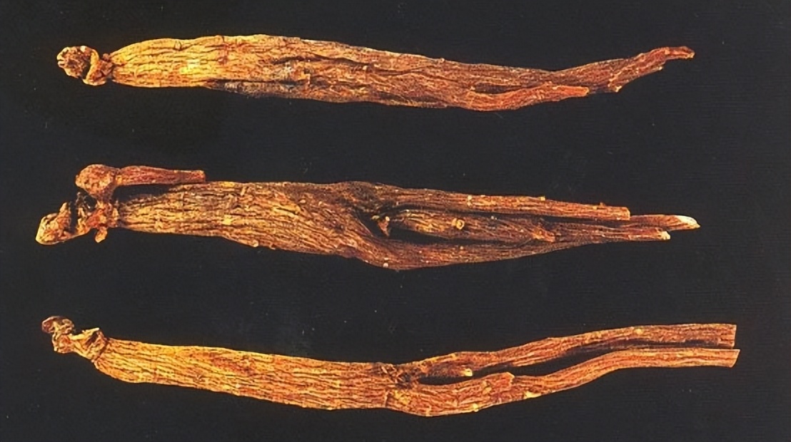 认识红参,带你认识红木