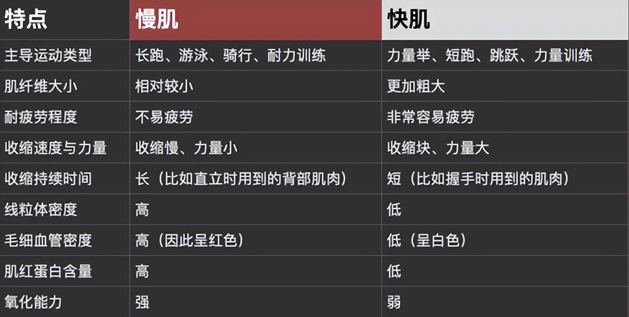 人类的舌头是怎么进化的,为什么人类最强的肌肉是舌头