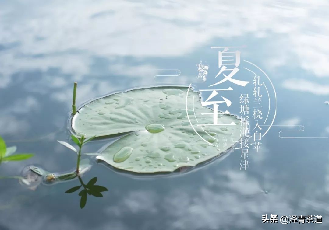 夏至蝉始鸣半夏生全文,夏至蝉始鸣半夏生什么意思