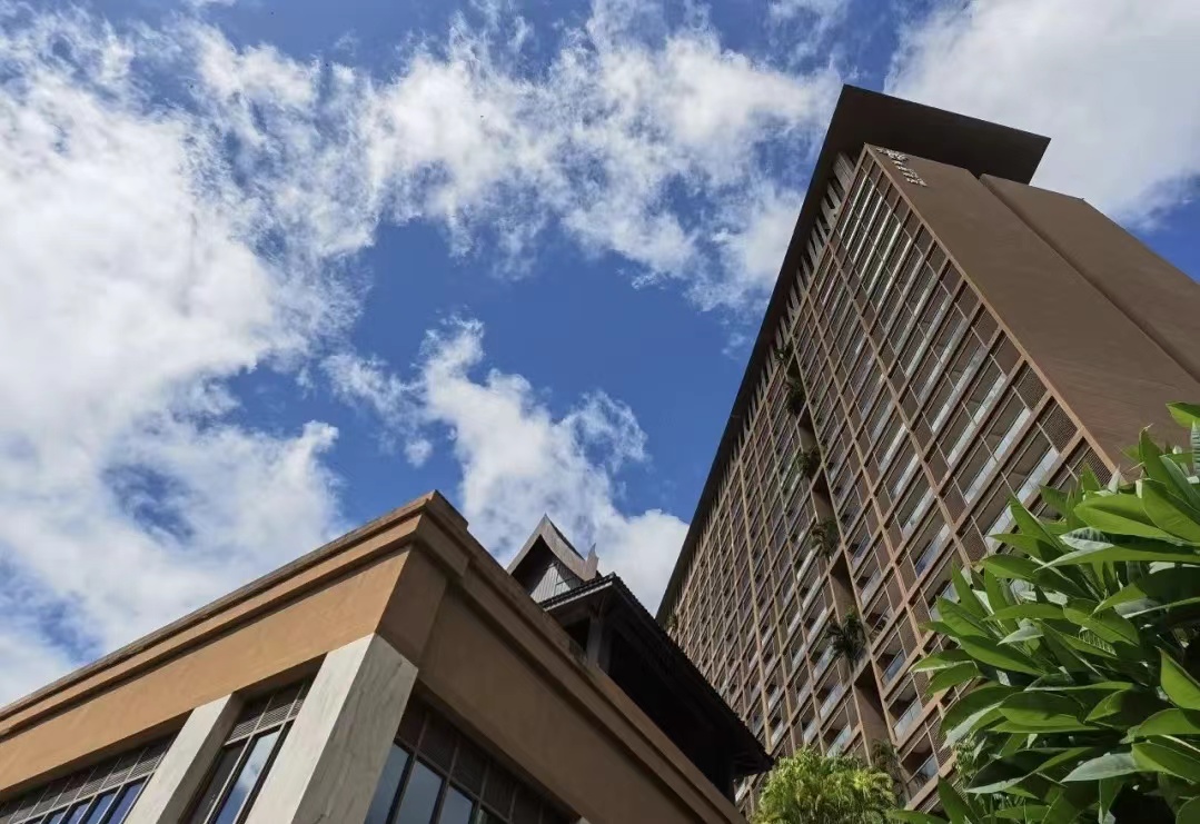 海南三亚湾红树林,三亚湾哪个红树林最好