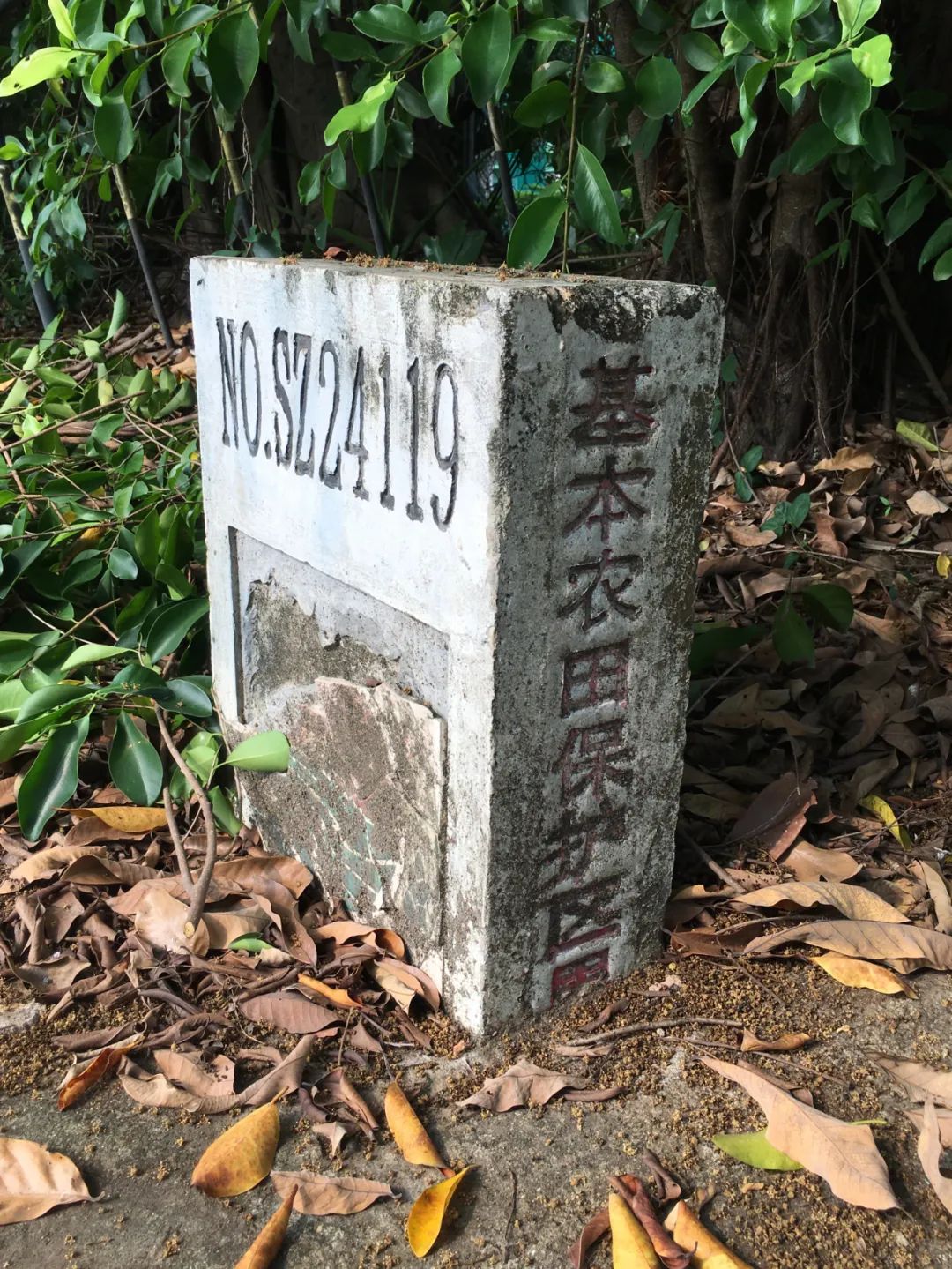 旭光车行雅迪电动车,旭光单车