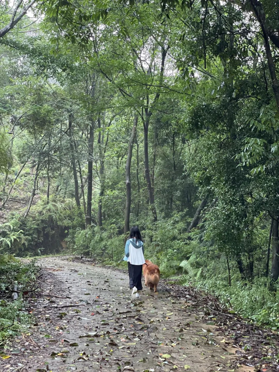 Moments｜创业者的2022：Recharge，劫后新生，海葵复苏了