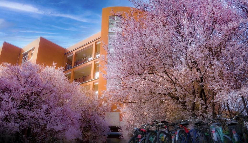 郑州大学排名前十位,中国大学排名最新排名表郑州