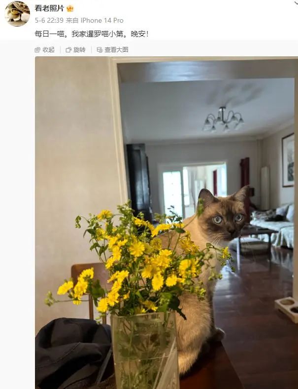 太突然！她已离世，微博停更......