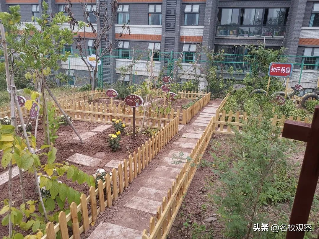 点亮时代文化之光,点亮中华优秀传统文化的智慧之光