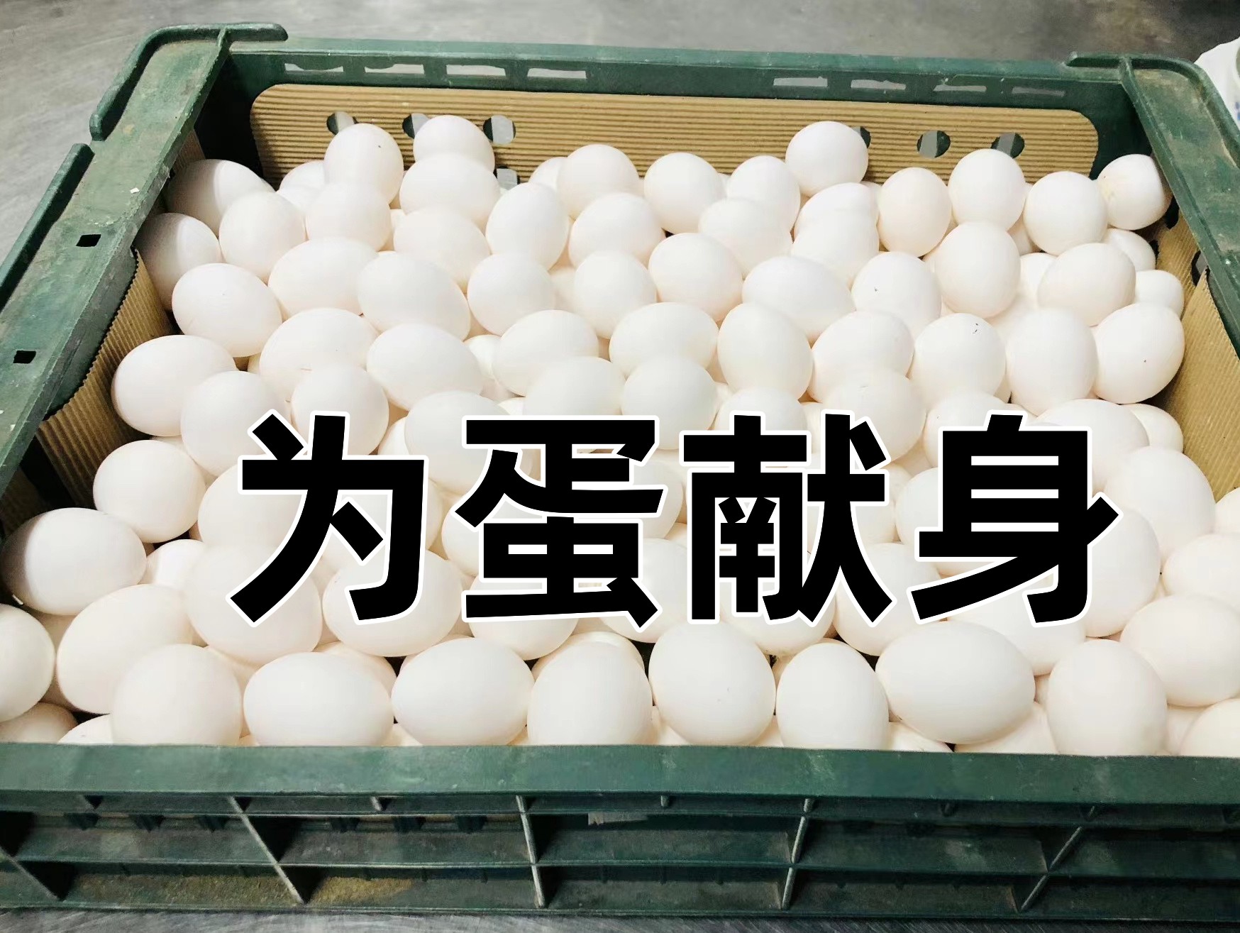 为蛋*身卖**在台成真！台女为买鸡蛋被大叔*养包**男友曾开心吃茶叶蛋