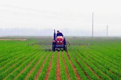 老赵的家庭农场