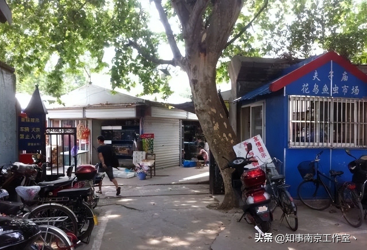 南京人自己都不去的夫子庙,南京人为什么不去夫子庙