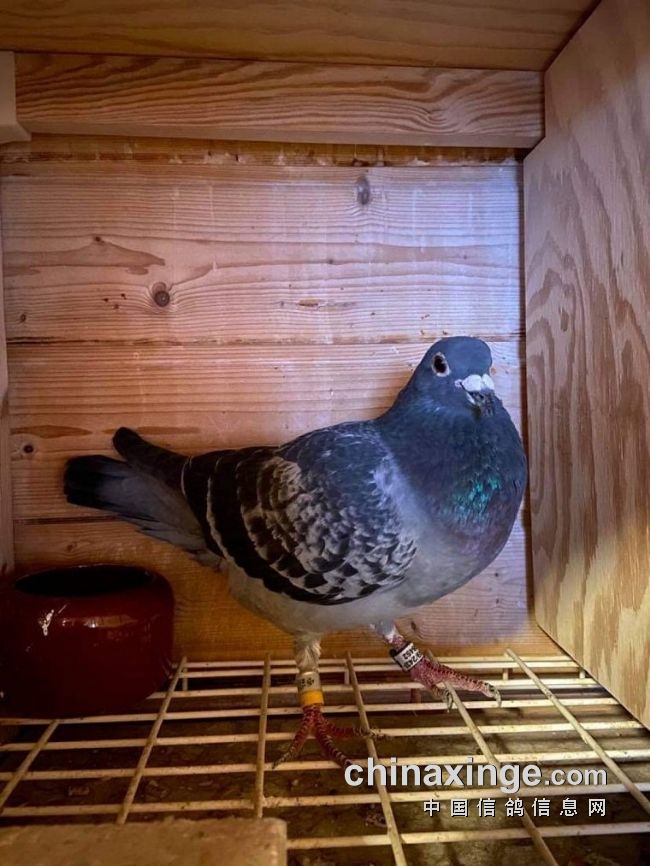 万里挑一的获奖者图片,万里挑一比赛视频