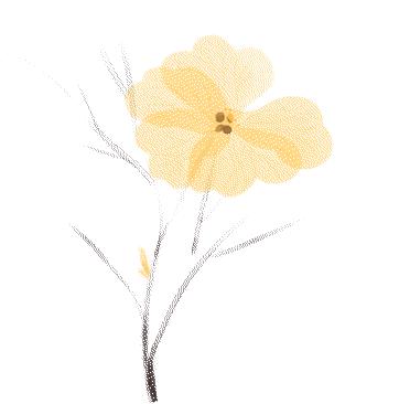 艾灸用大盒还是小盒,艾灸筒好还是艾灸盒好