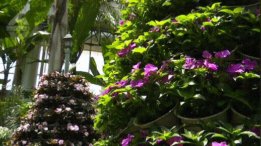 植被覆盖率中国,昆明植被覆盖率有多少