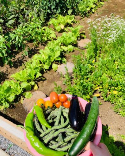 移民的生活好不好,移民生活到底好不好