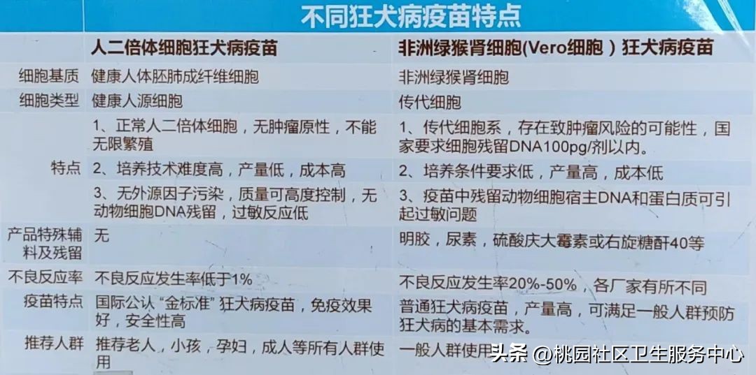 陆良打狂犬病疫苗去哪里打,打狂犬病疫苗可以用医保吗