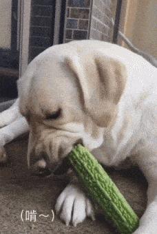 和女网友奔现靠谱吗,被女网友骗了钱怎么办