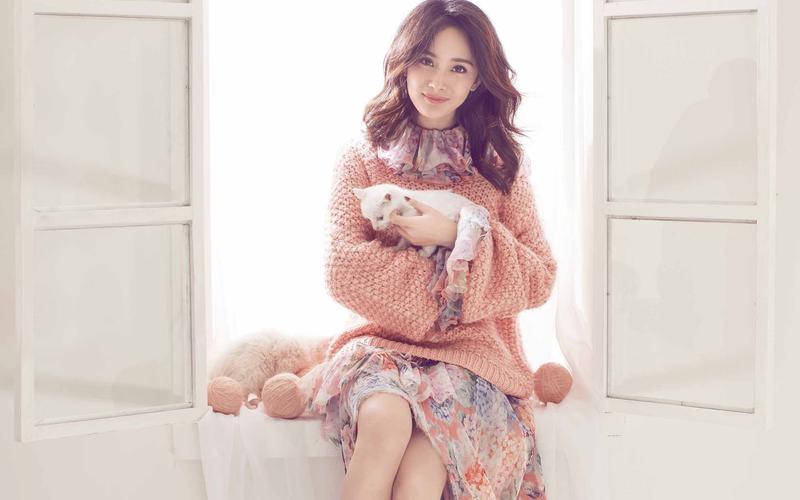 揭秘娱乐圈乱象的女艺人,娱乐圈中被骗得最惨的女明星