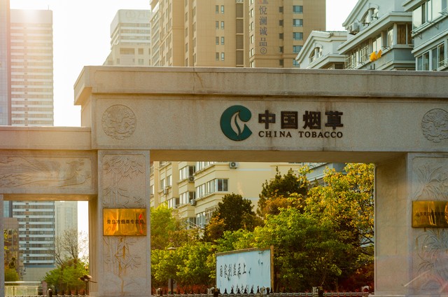 草烟什么样的好,草烟的利润是多少