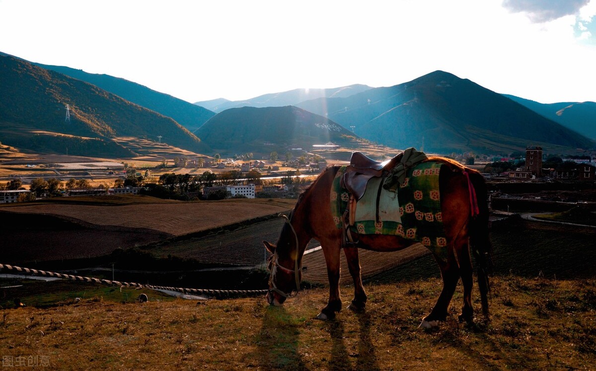 成语故事老马识途,成语故事老马识途简短