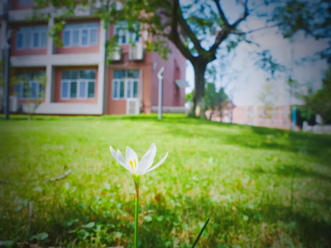 2019年一年级招生简章,2022年公办学校一年级怎么招生