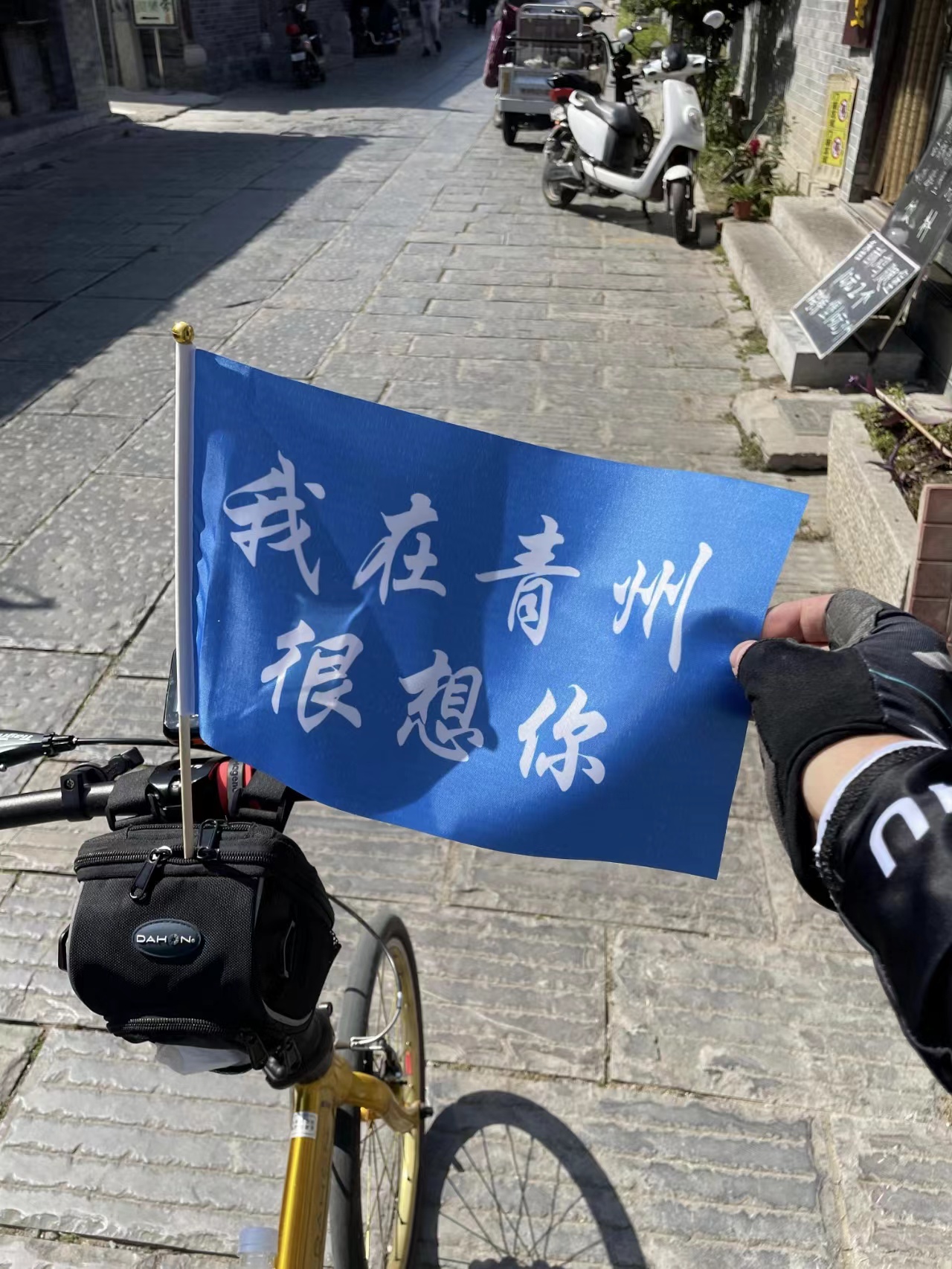 鎳傛噦楠戣,钁ｈ懀楠戣灞变笢