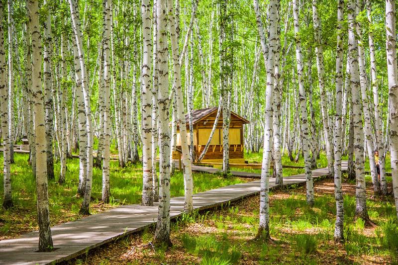 俄罗斯作为能源大国,俄罗斯是富裕的国家吗