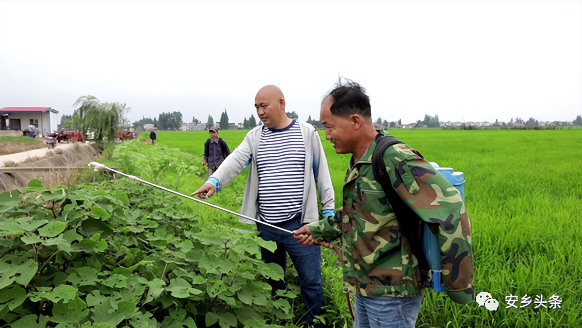 退伍回乡当村干带动百姓致富,优秀士兵回乡创业