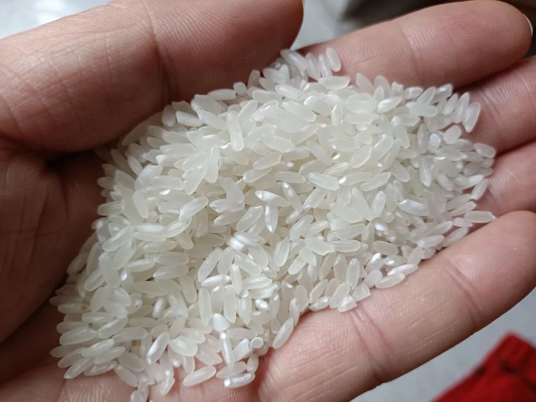 大米中间有白色的是什么情况,大米最忌三个地方是什么
