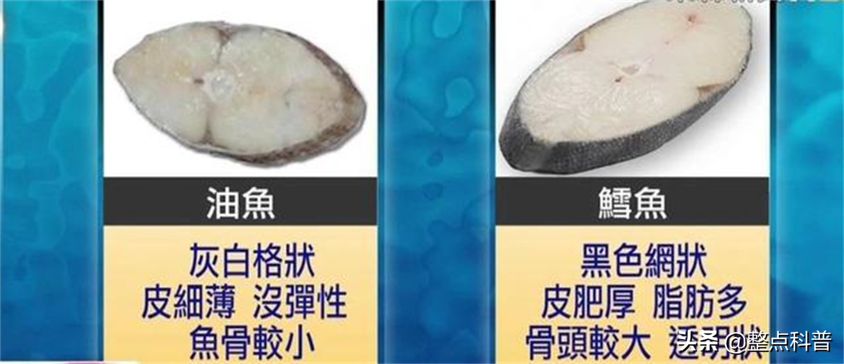 油鱼的副作用和危害,油鱼有害处吗