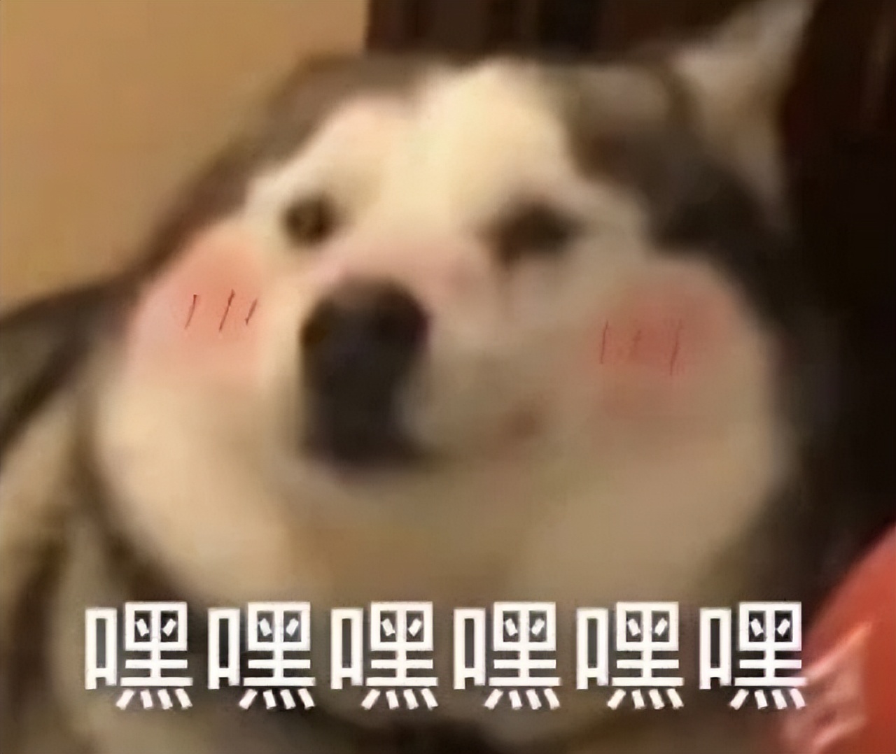 程序员接私活平台日结,私活平台程序员