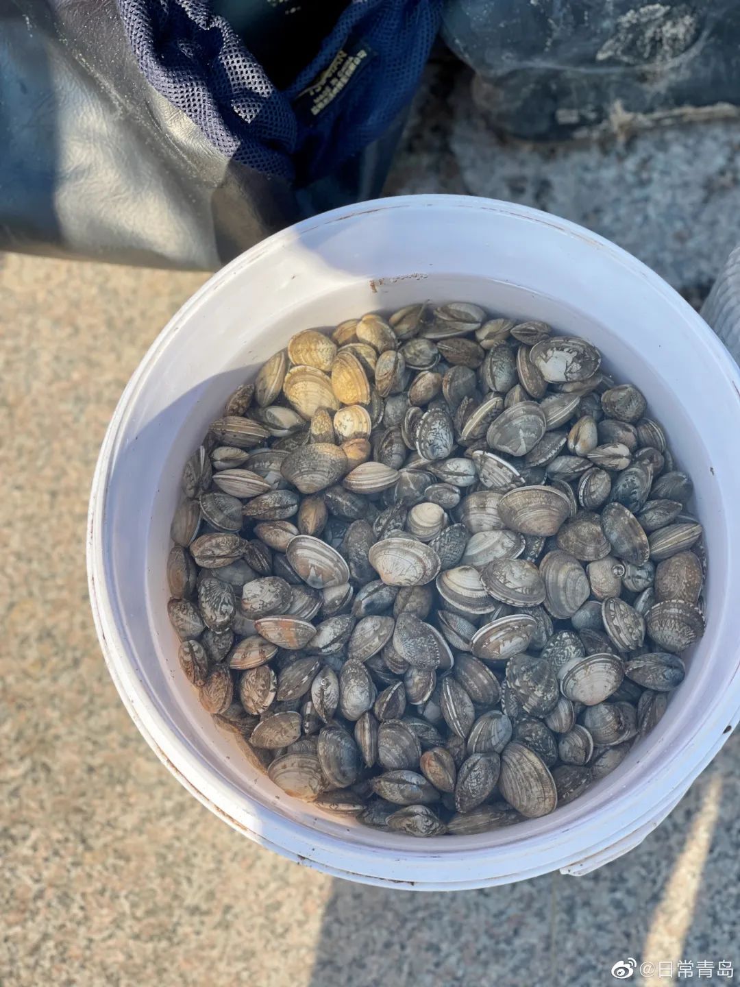 青岛绝美海滩,青岛最好的无人海滩