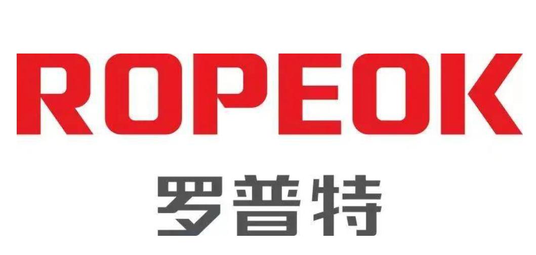 罗普特预计第一季度业绩,罗普特上市公告