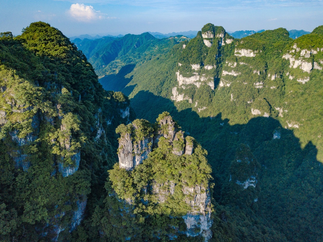 毕节油杉河景区,贵州夏季的避暑景点