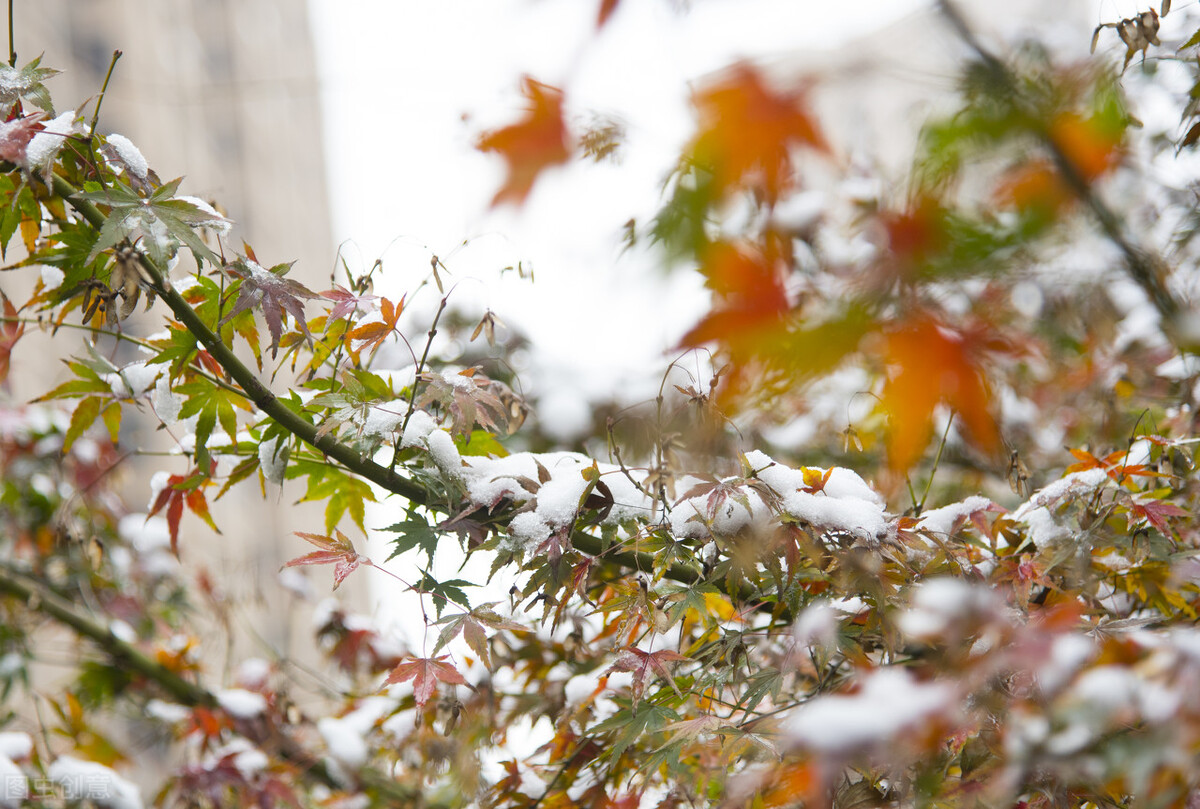 清都的原创诗词，4年作品合集，用文字记录生活