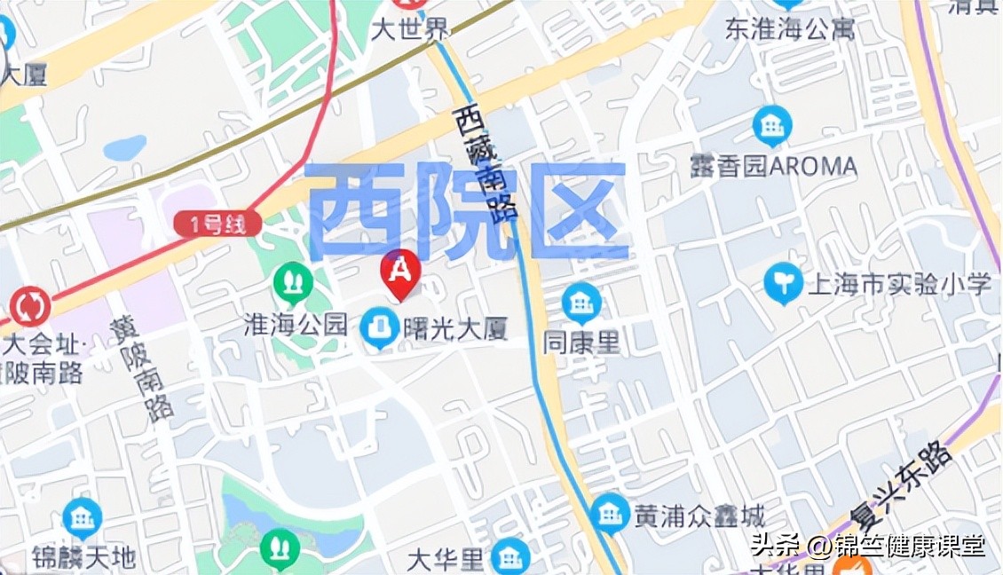 去上海中医药大学附属曙光医院,上海曙光医院中医怎么挂号