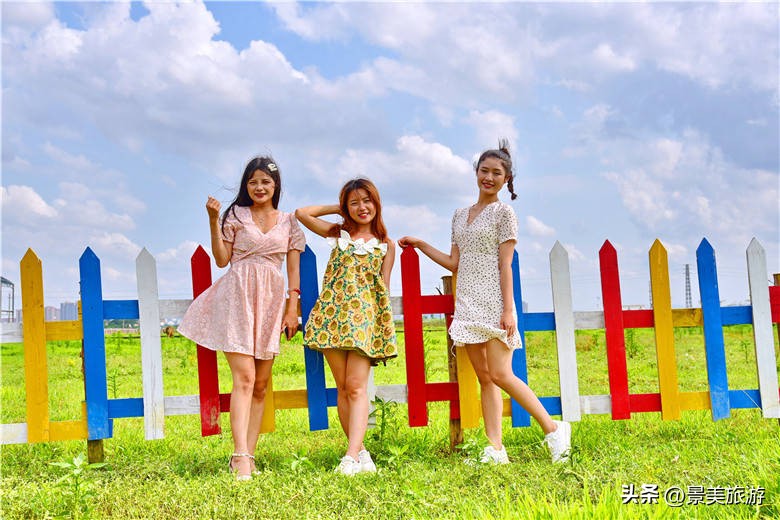 广州女大学生五一假期兼职去做牛倌，称工作轻松适合躺平风景也美