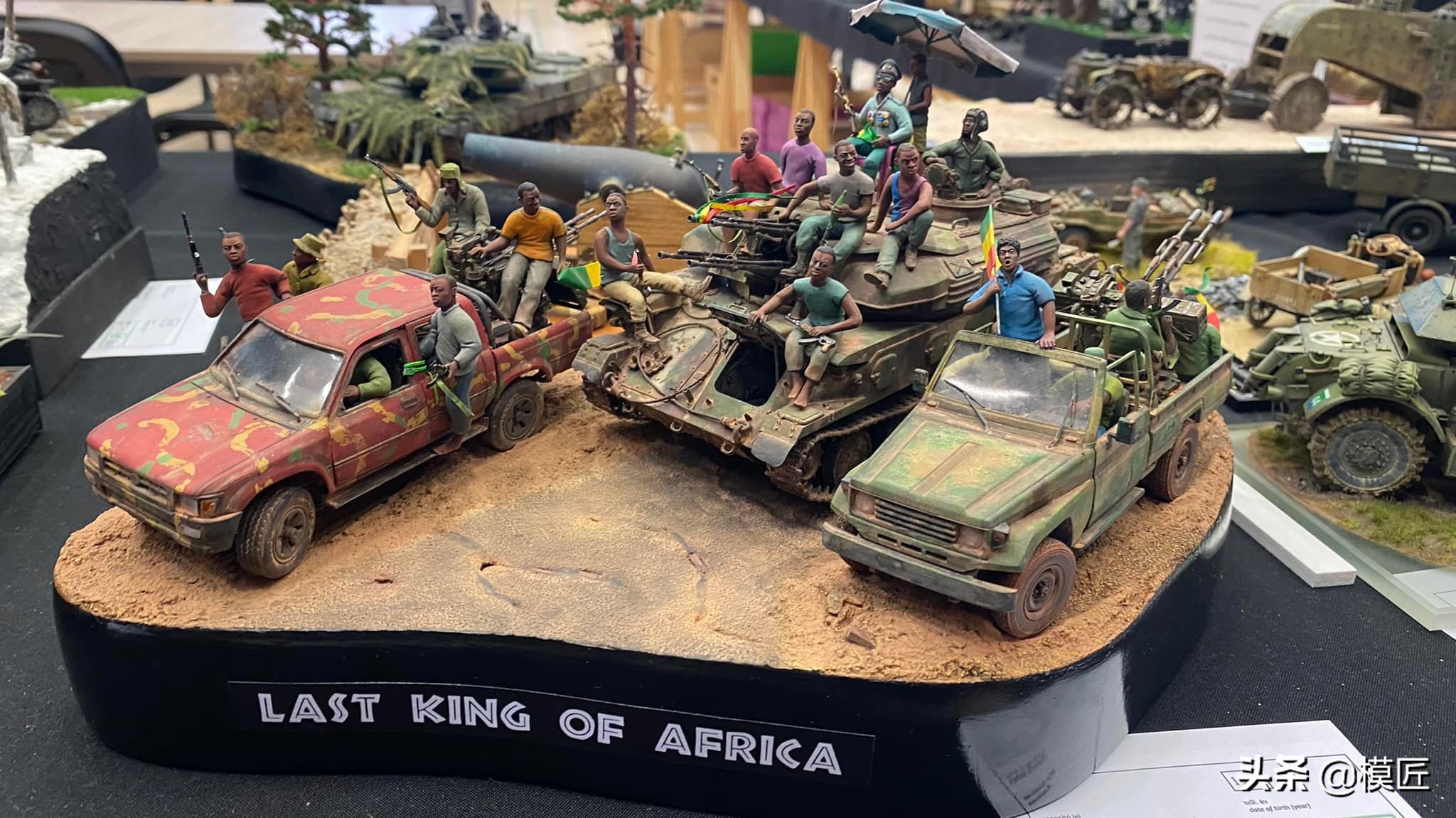 匈牙利莫森金奖,莫森模型展