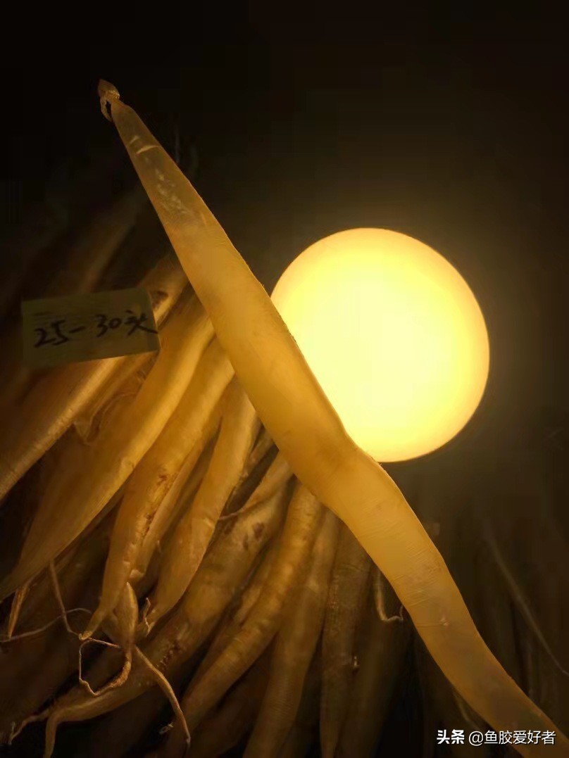 鳗鱼胶有什么由来,鳗鱼胶怎样辨别野生和非野生的