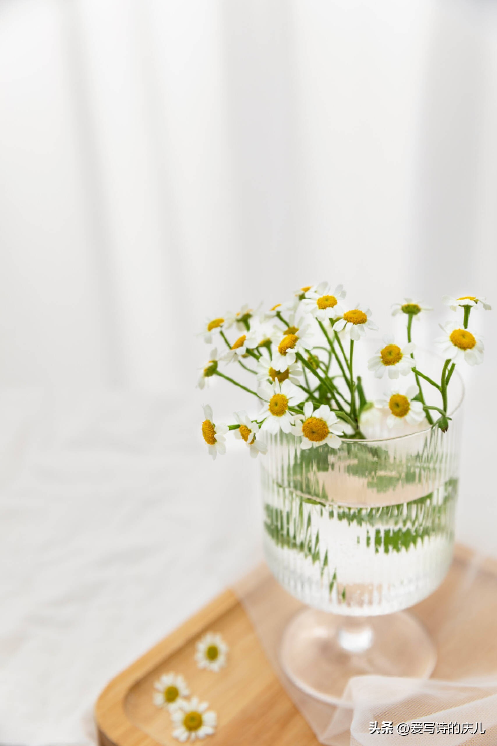 庆儿诗歌~我听着歌，我想着我的故事