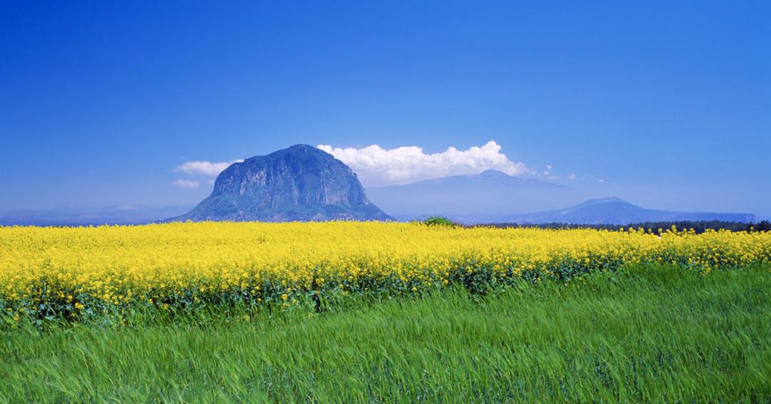 最新免签和落地签国家一览表,免签落地签推荐去哪里