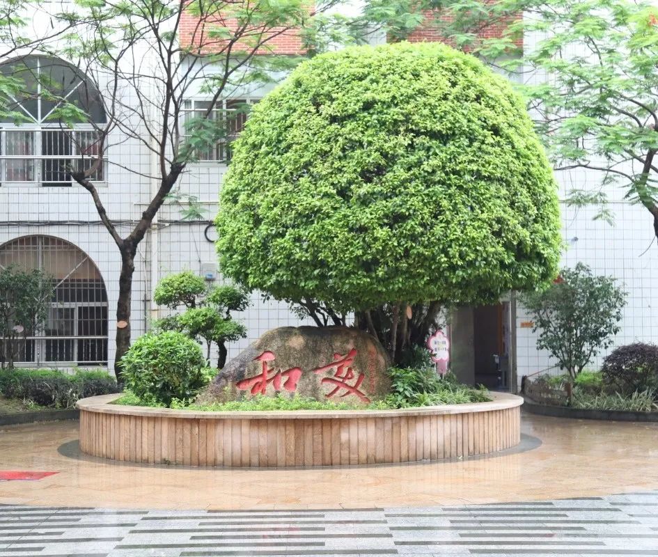 城南实验小学惠安好不好,城南实验小学惠安研学