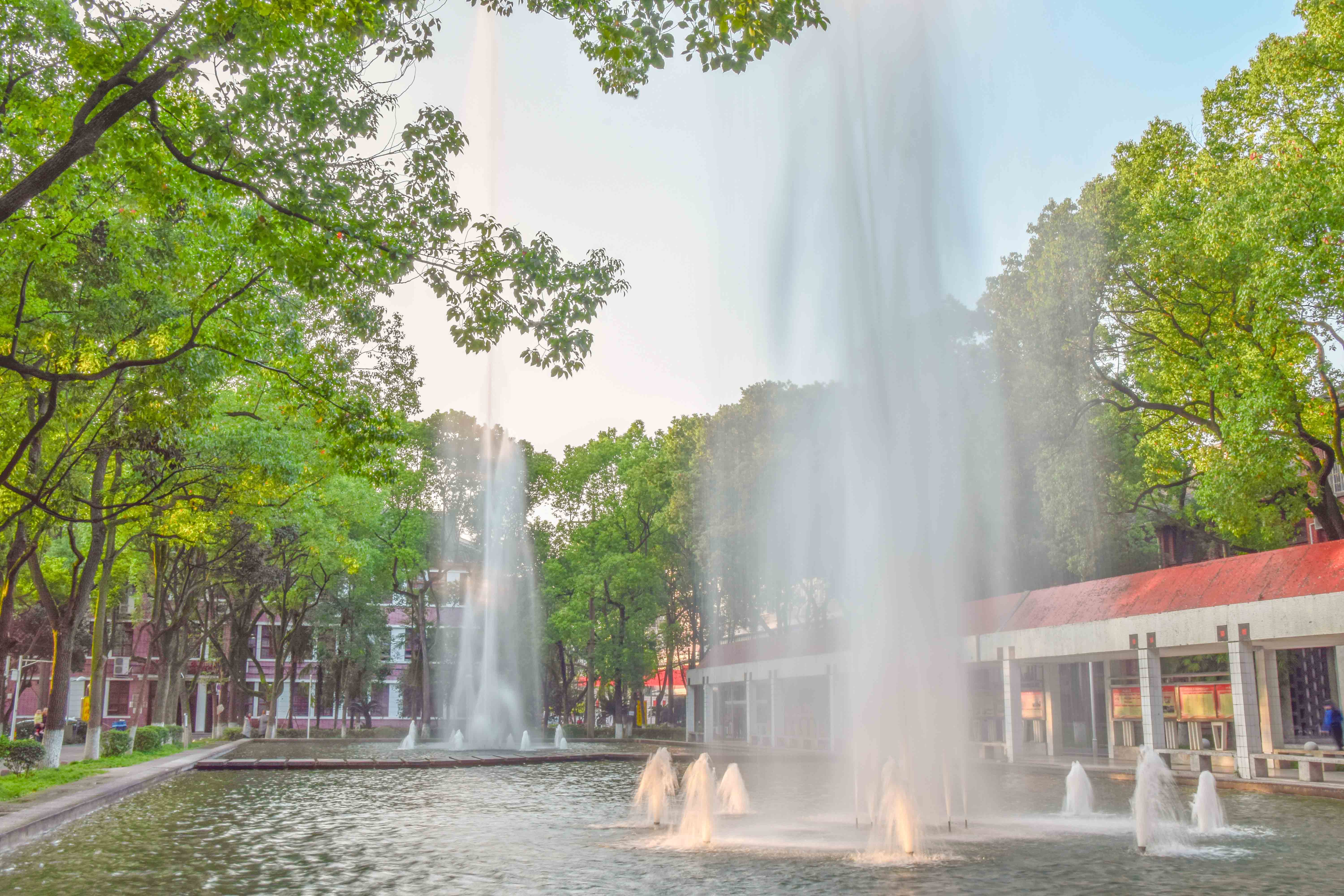 四川西华师范大学录取分数线2021,四川西华师范大学录取分数是多少