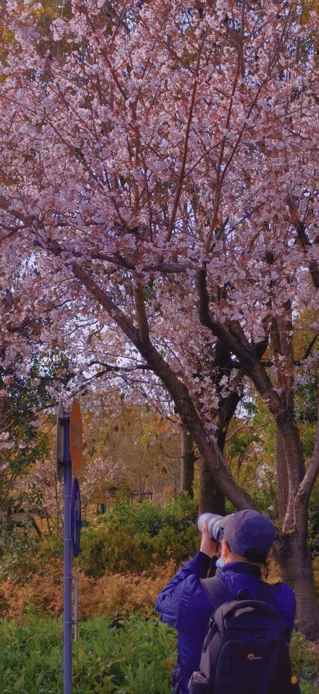 在上海静默的春天，三位实体商业人的此时此刻|与你同在