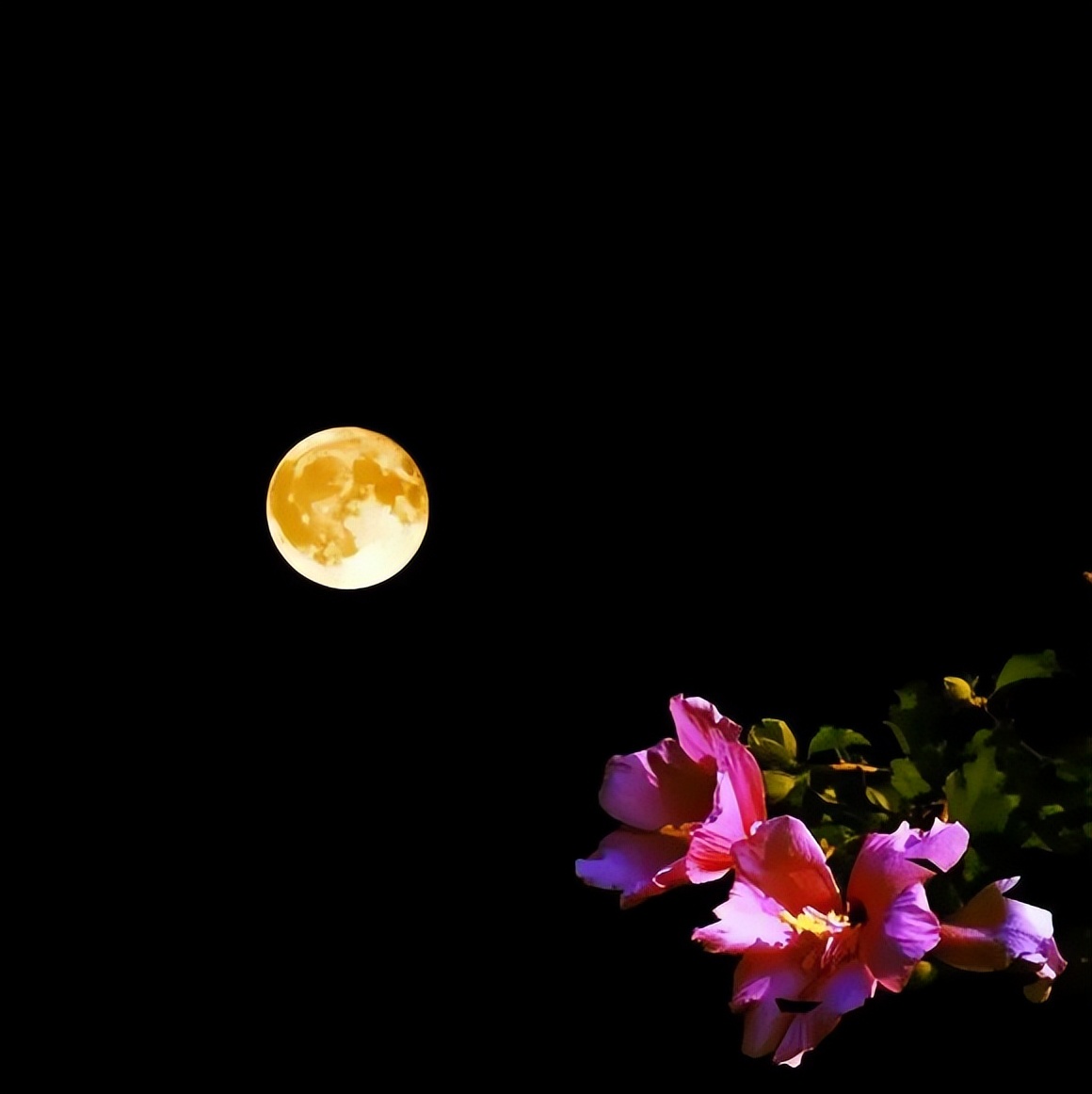 最是新秋好时光，有关新秋的诗词，在诗词里欣赏新秋的美景！​